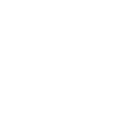 icon-1